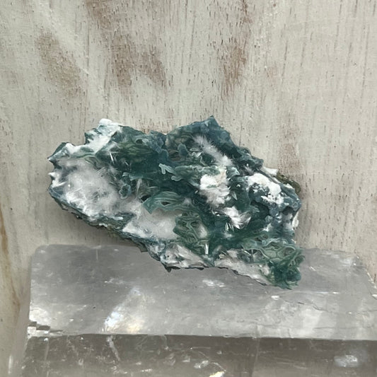 Green Chalcedony Coral with Okenite zeolite specimen