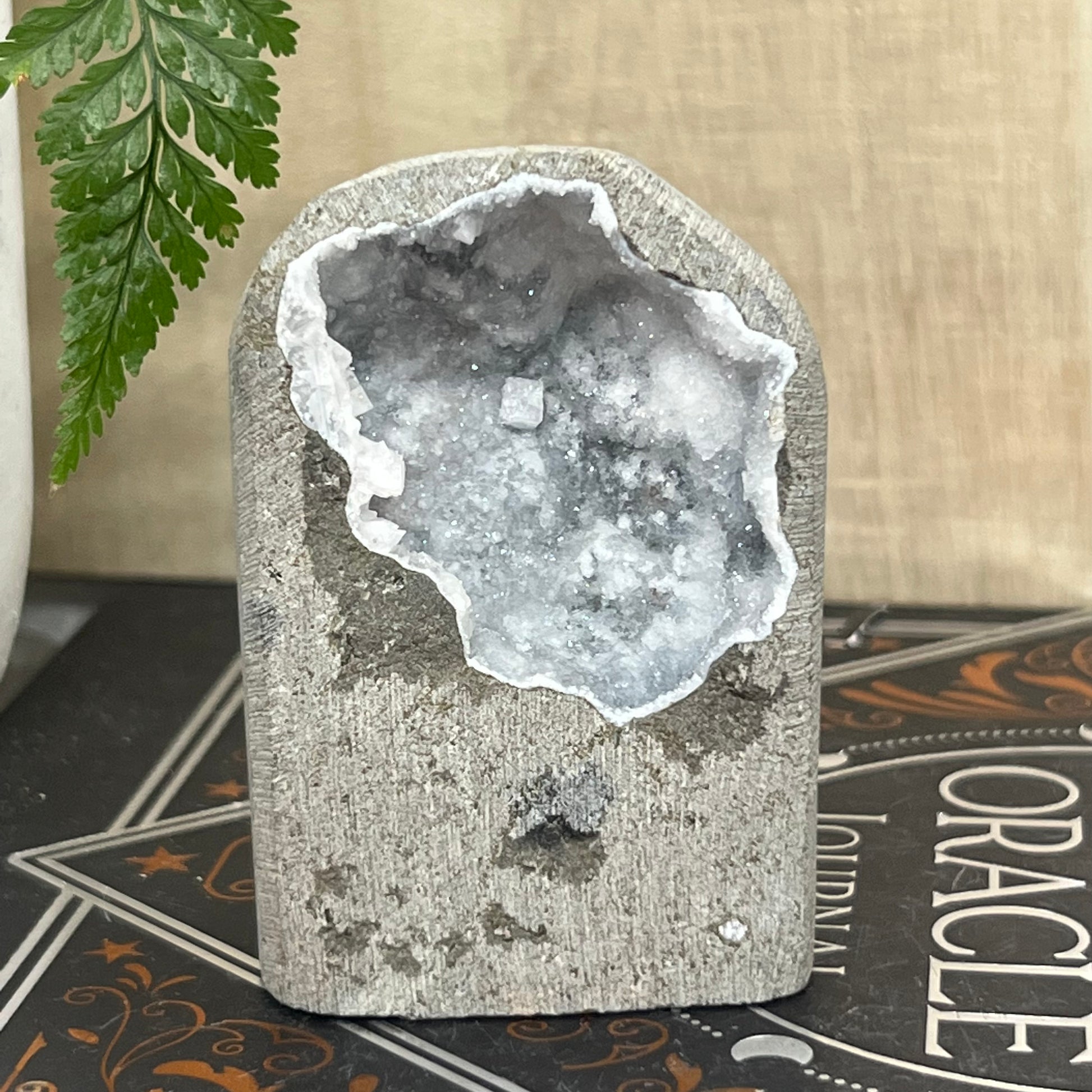 Geode Apophyllite Cluster Specimen on Matrix Zeolite