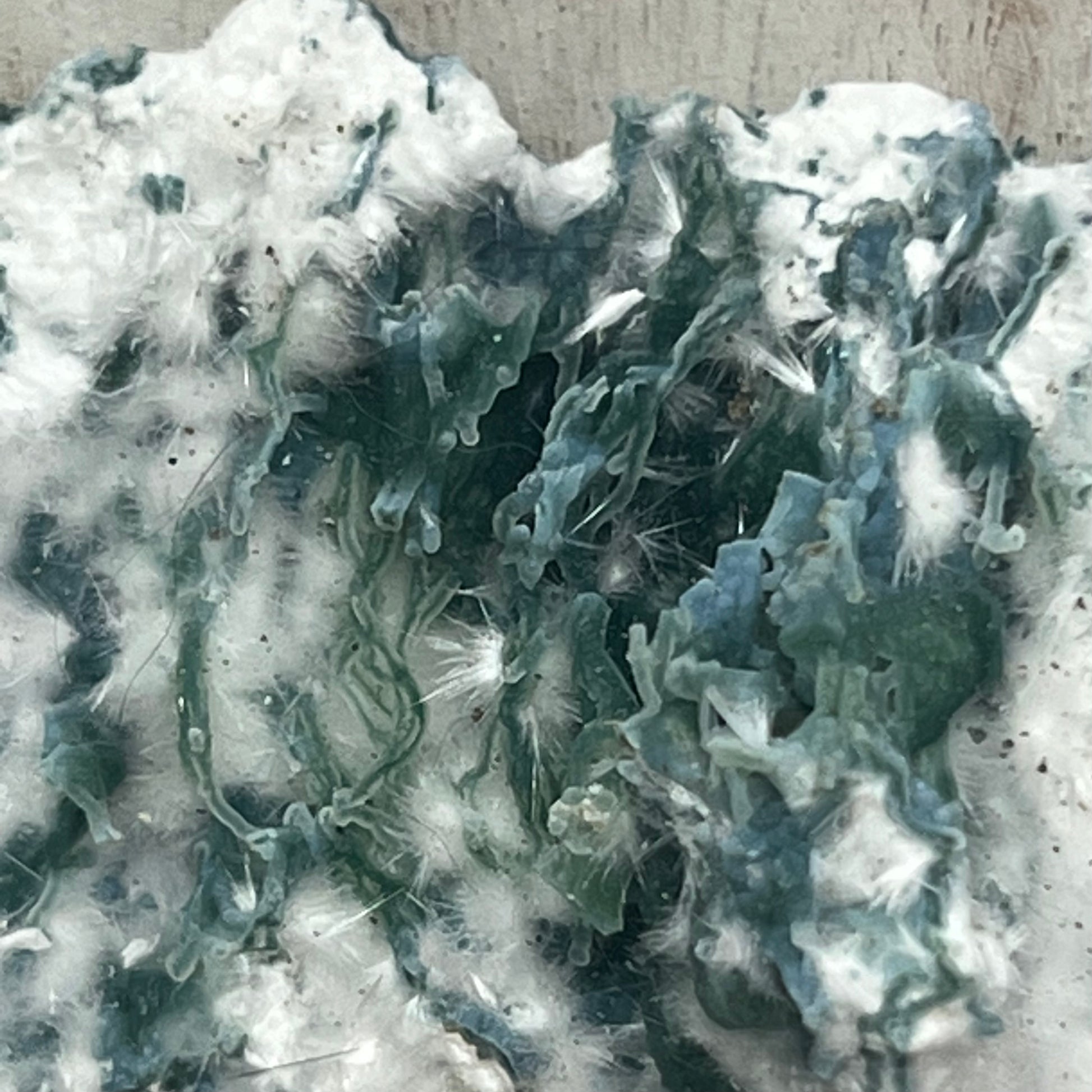 Large Green Chalcedony Coral with Okenite with ‘Mossy’ Matrix Crust Specimen