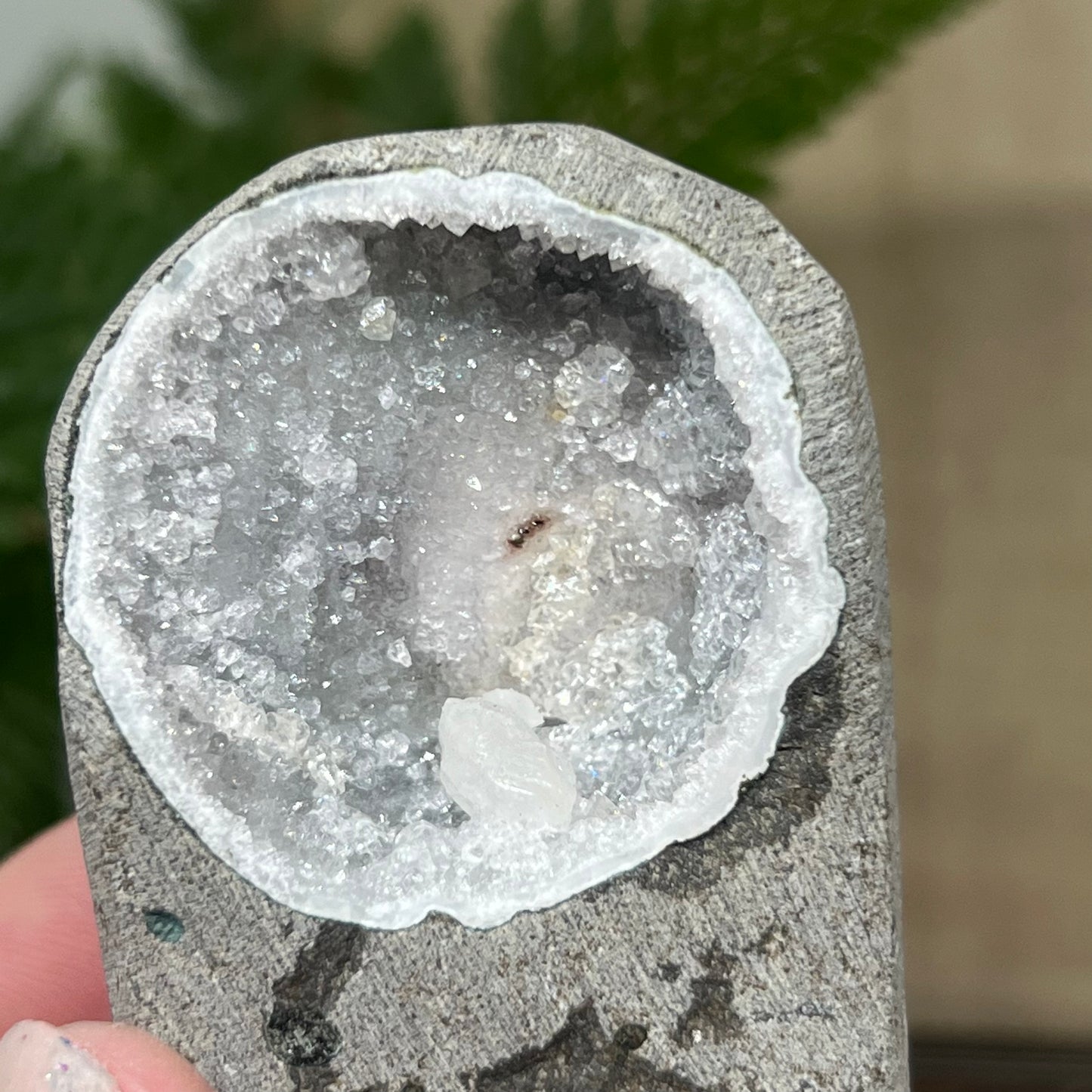 Geode Apophyllite Cluster Specimen on Matrix Zeolite