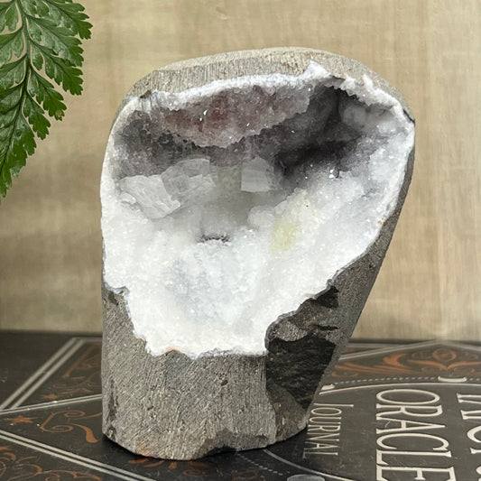 Geode Apophyllite Cluster Specimen on Matrix Zeolite