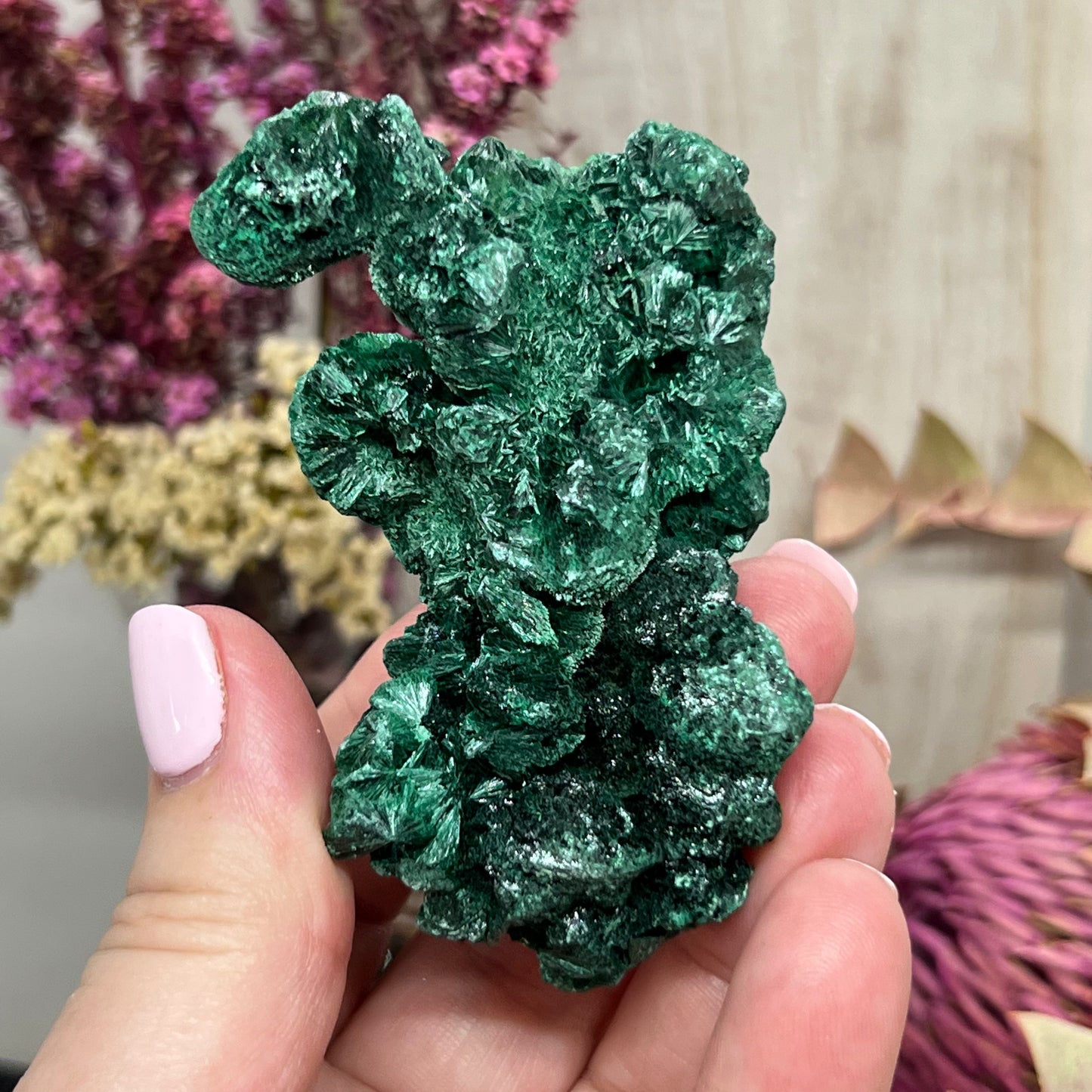 ‘Velvet’ Malachite (Congo): Botryoidal, silky fibrous specimen (106.45g)
