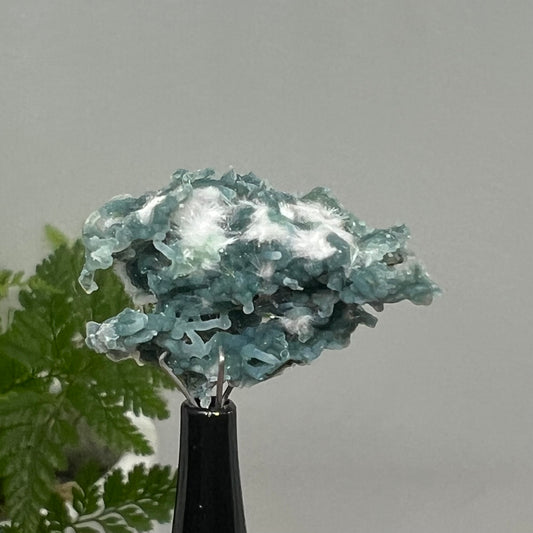 Small Green Chalcedony Coral Specimen with Okenite
