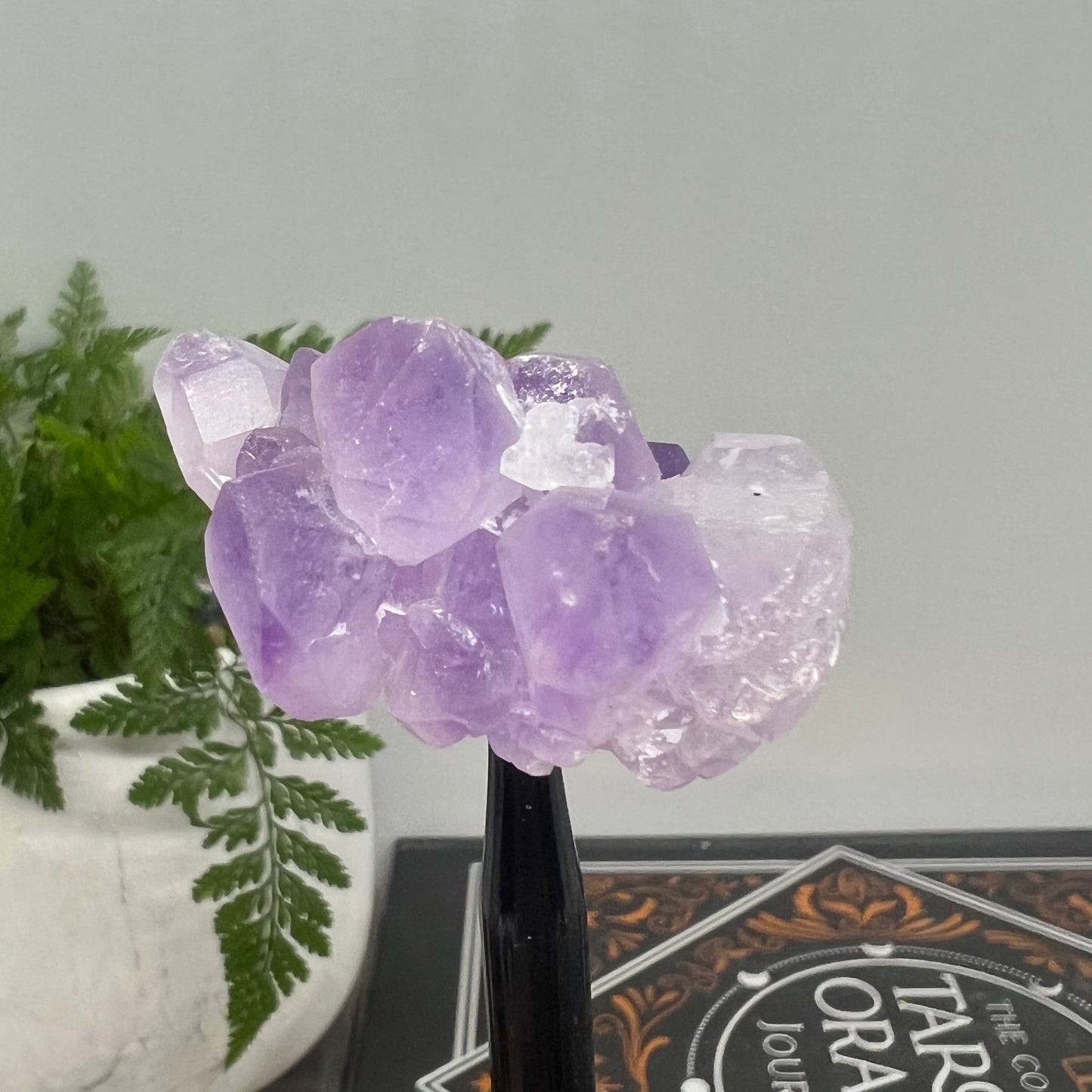 Elestial Amethyst Cluster