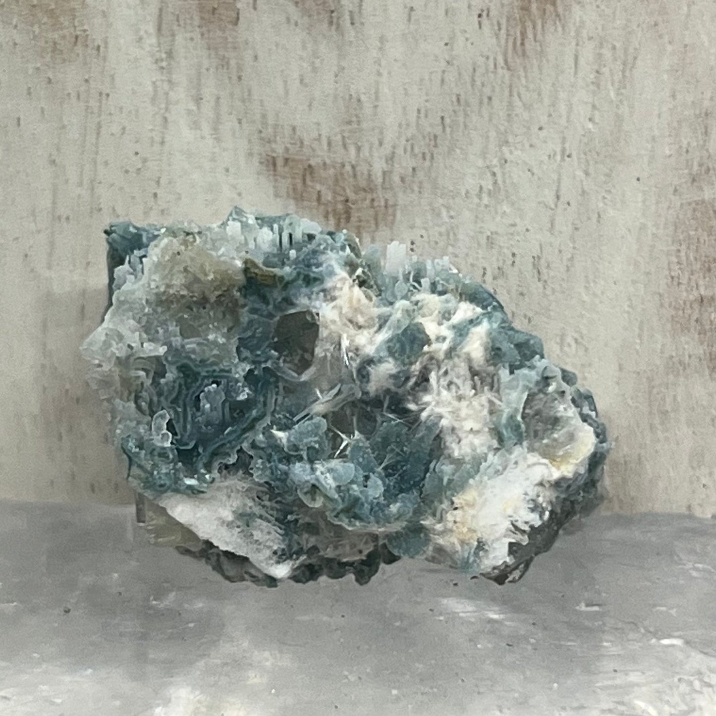 Green Chalcedony Coral Specimen with Okenite (GC2)