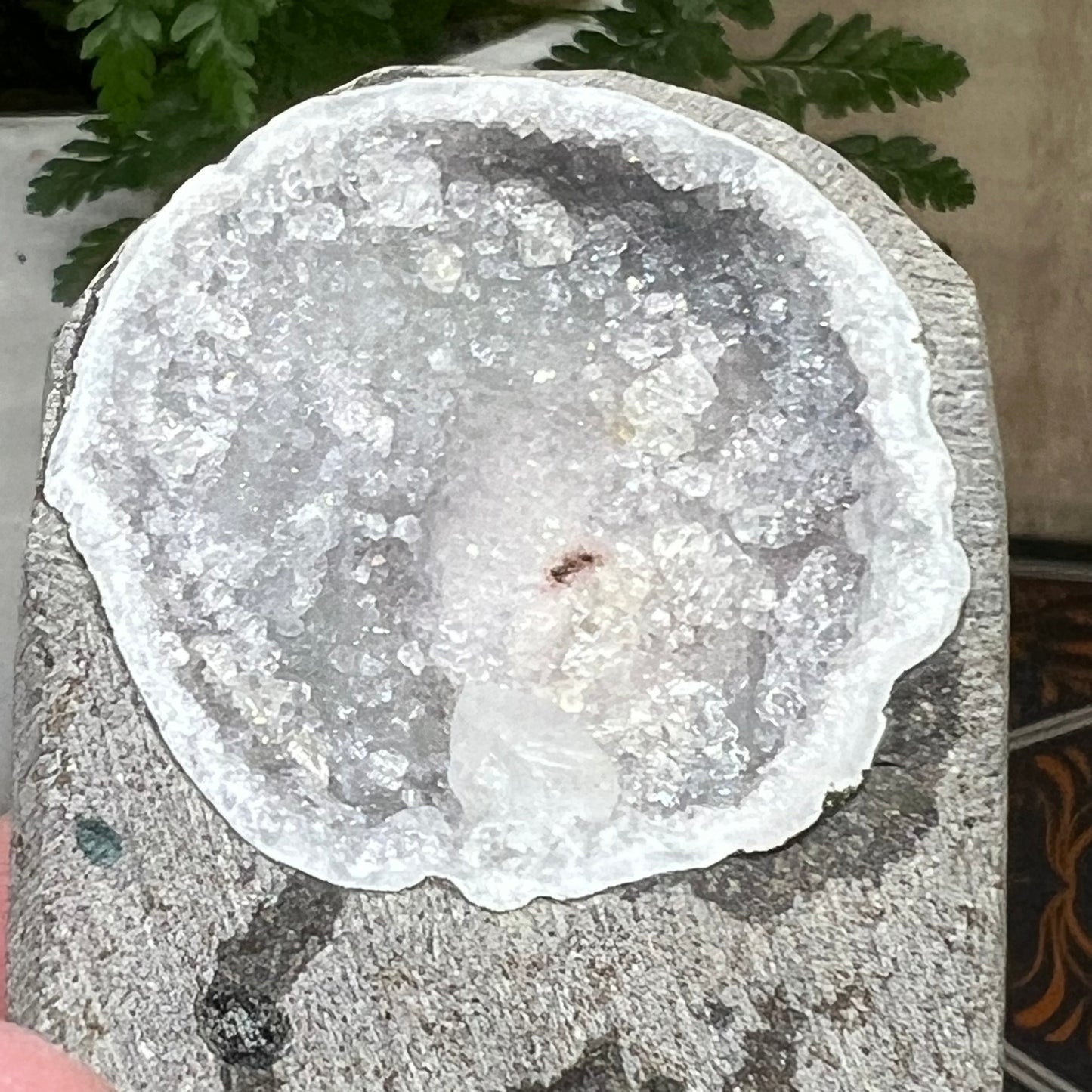 Geode Apophyllite Cluster Specimen on Matrix Zeolite