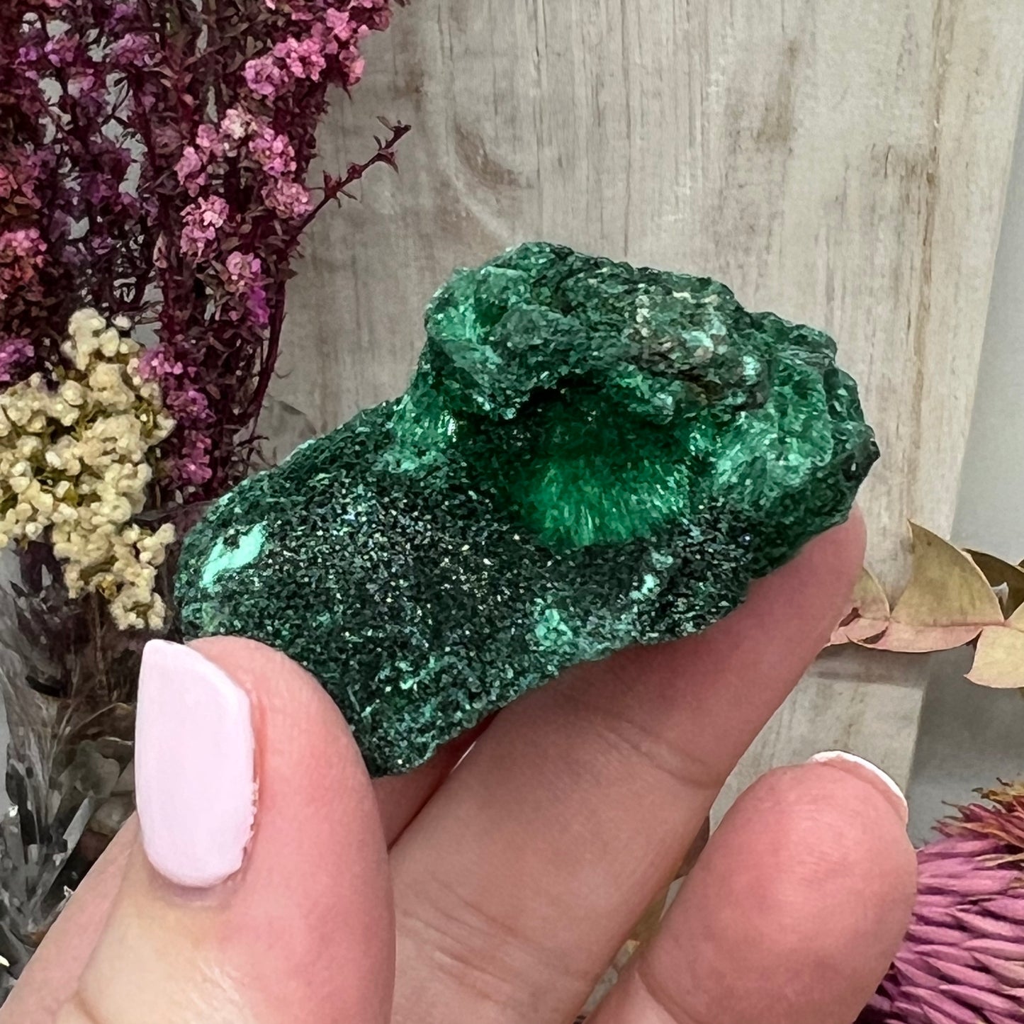 ‘Velvet’ Malachite (Congo): Botryoidal, silky fibrous specimen (38.1g)