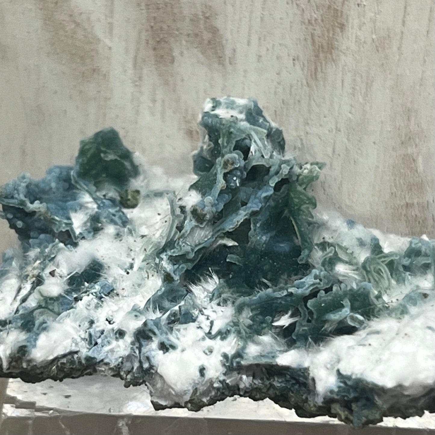 Large Green Chalcedony Coral with Okenite with ‘Mossy’ Matrix Crust Specimen