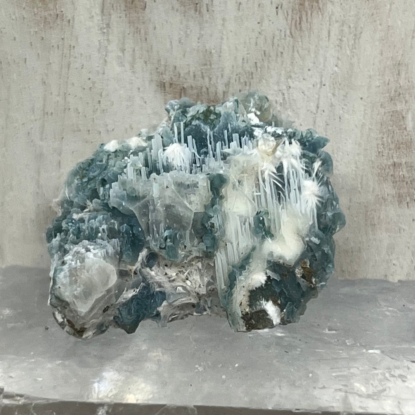 Green Chalcedony Coral Specimen with Okenite (GC2)