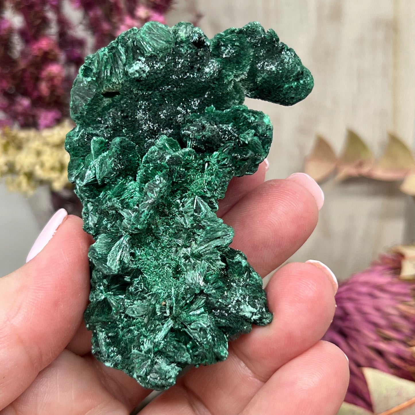 ‘Velvet’ Malachite (Congo): Botryoidal, silky fibrous specimen (106.45g)