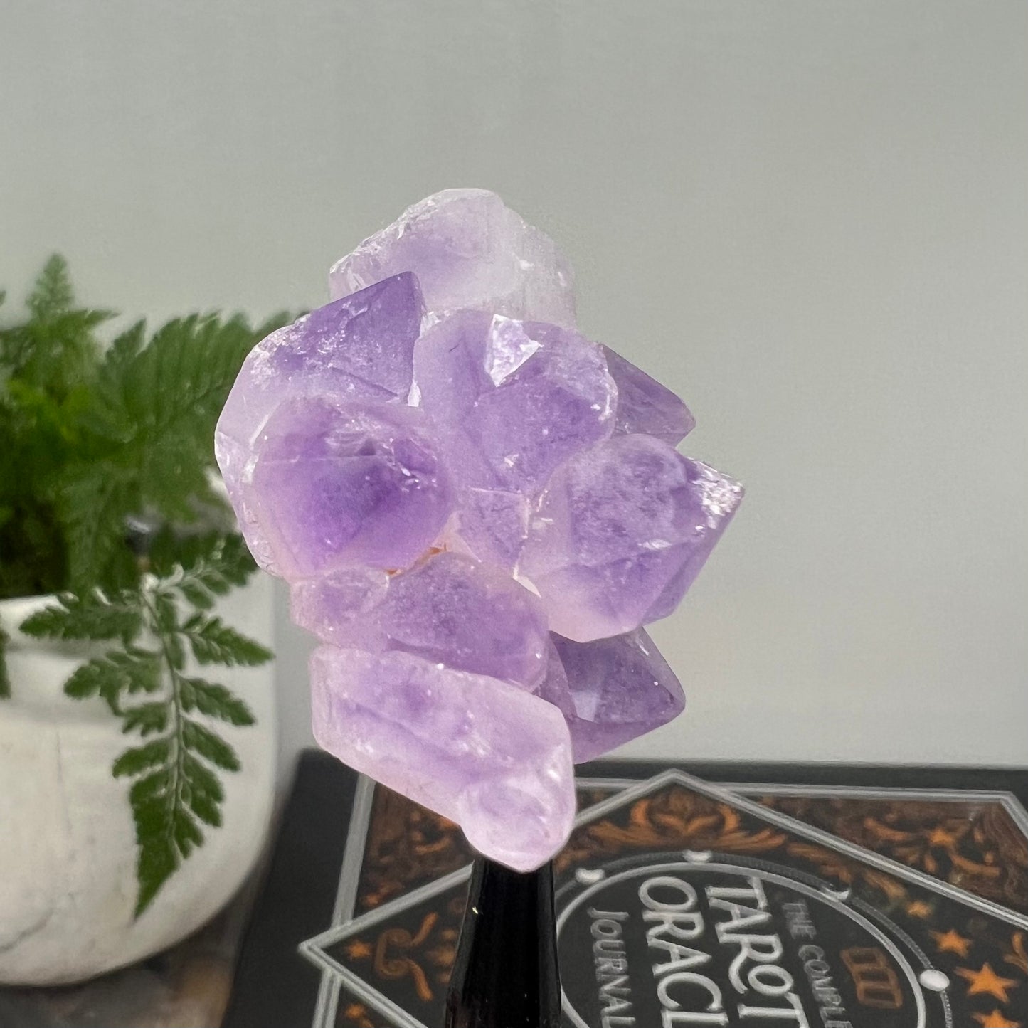 Elestial Amethyst Cluster