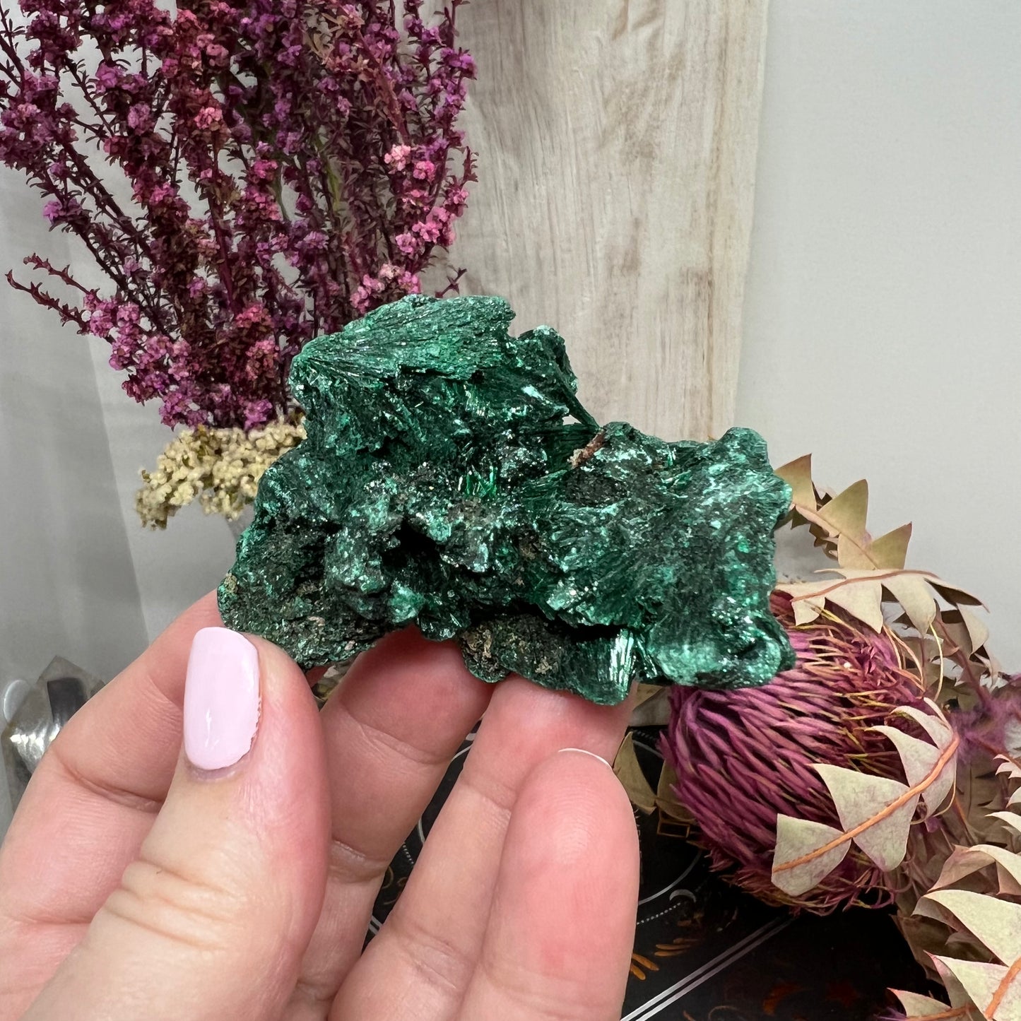 ‘Velvet’ Malachite (Congo): Botryoidal, silky fibrous specimen (62g)