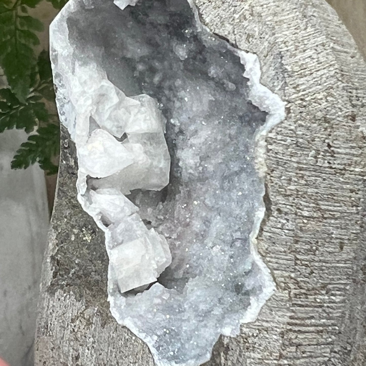 Geode Apophyllite Cluster Specimen on Matrix Zeolite