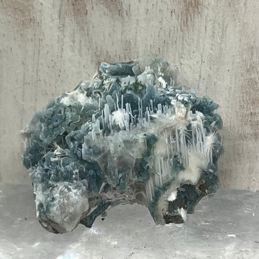 Unique Green Chalcedony Coral with Okenite zeolite specimen