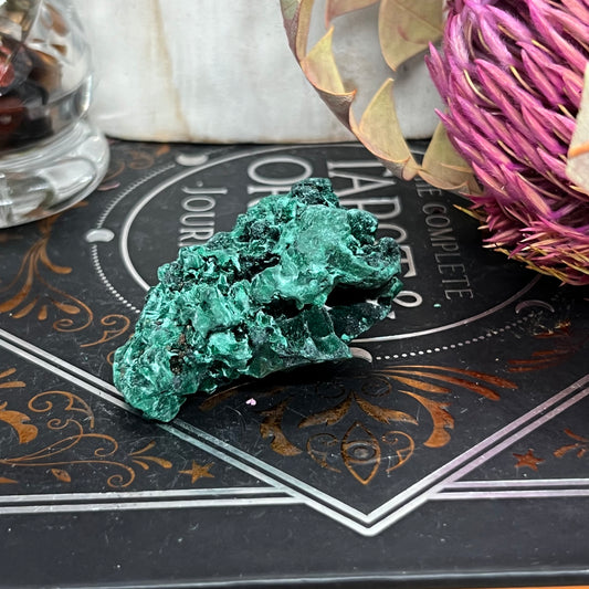 'Velvet’ Malachite (Congo): Botryoidal, silky fibrous specimen (49.3g)