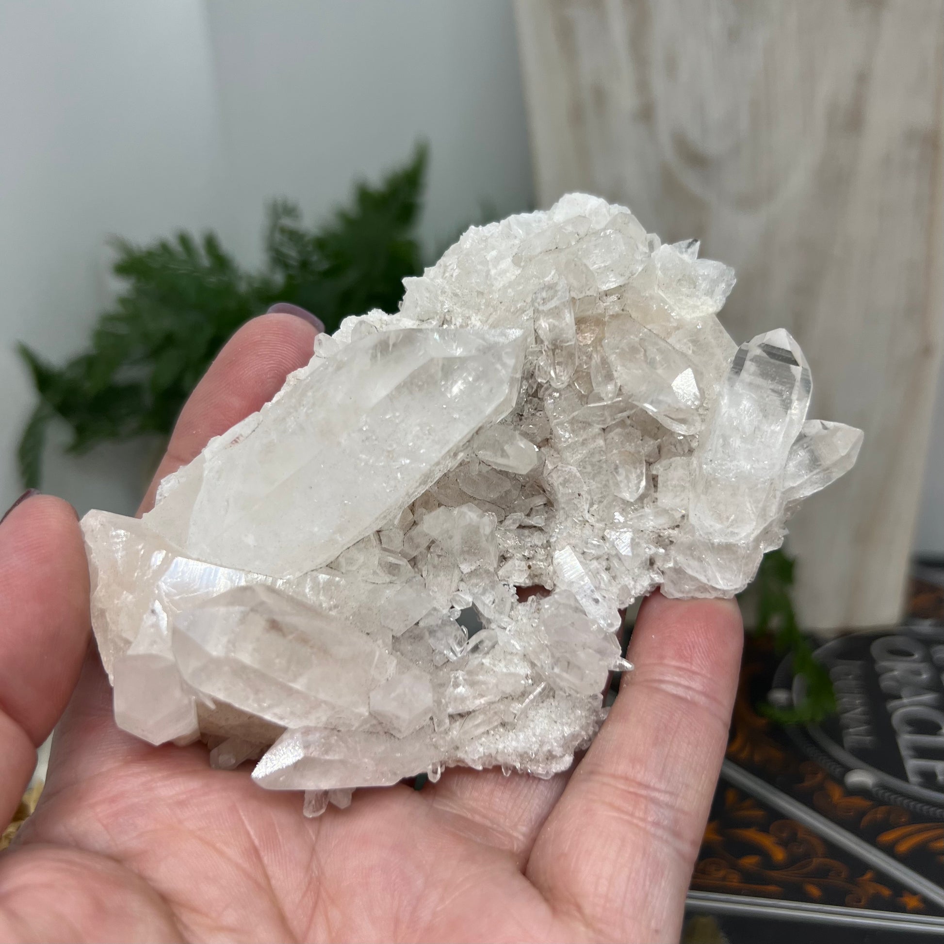 Himalayan Quartz Cluster - Medium sized cluster on skeletal matrix.