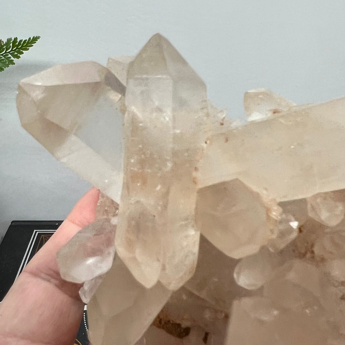 Samadhi Quartz Cluster - Himalayan
