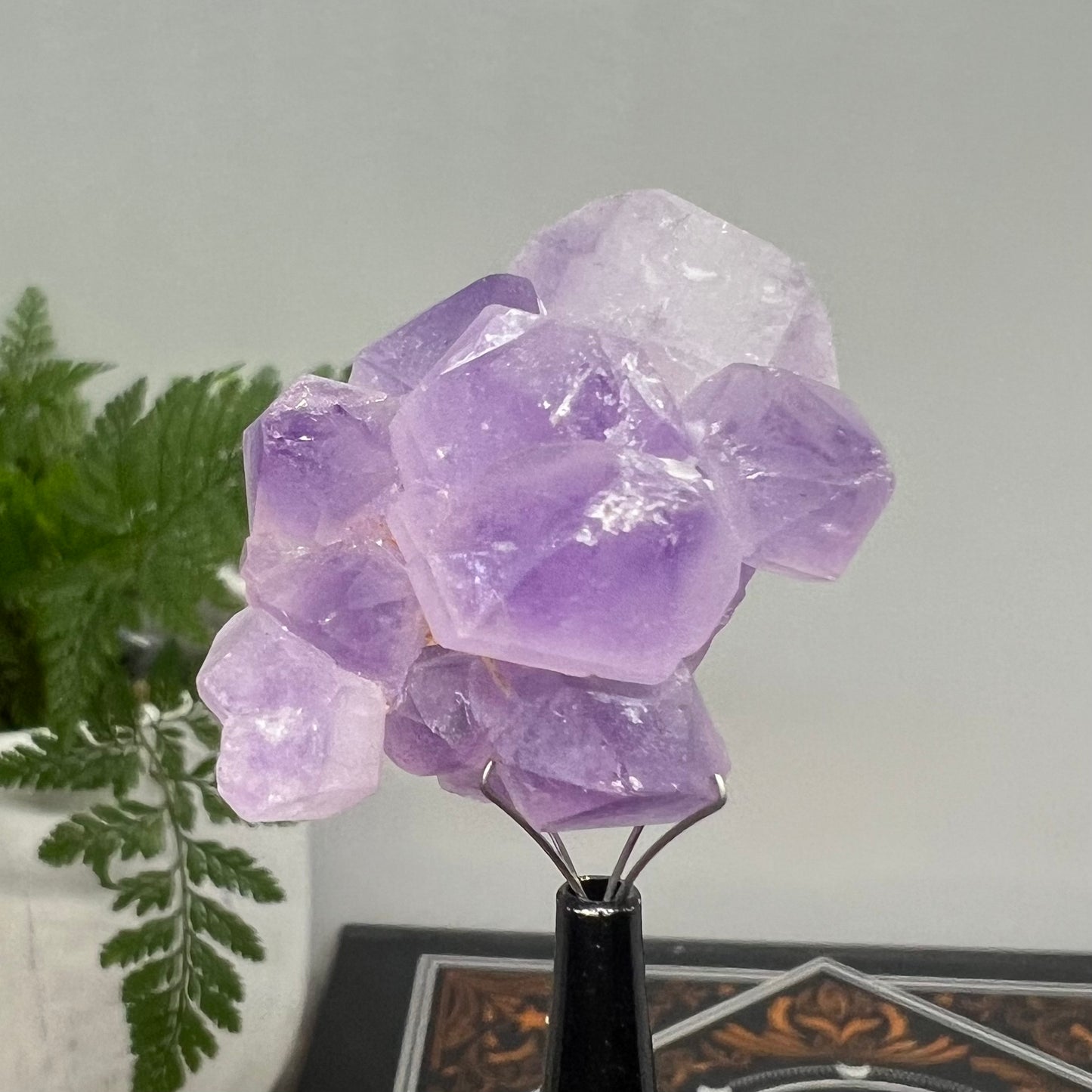 Elestial Amethyst Cluster