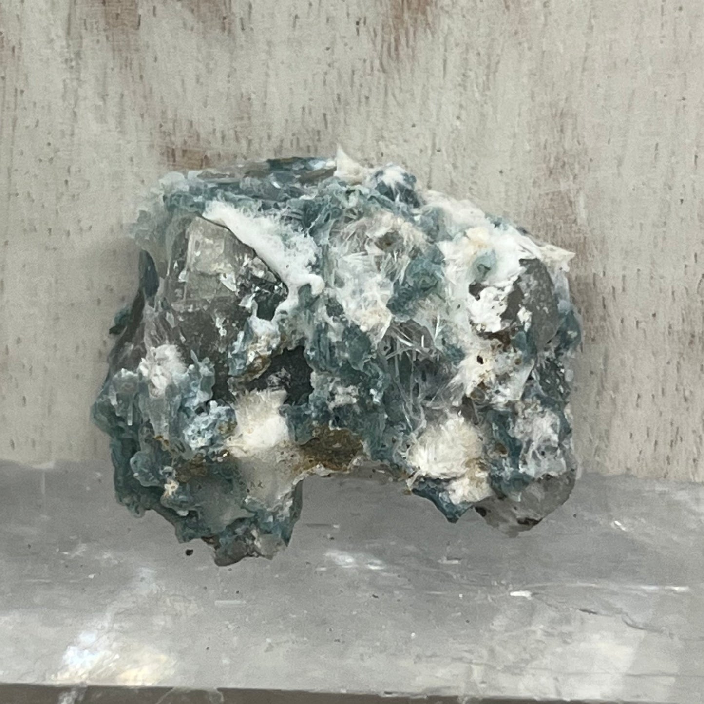 Green Chalcedony Coral Specimen with Okenite (GC2)