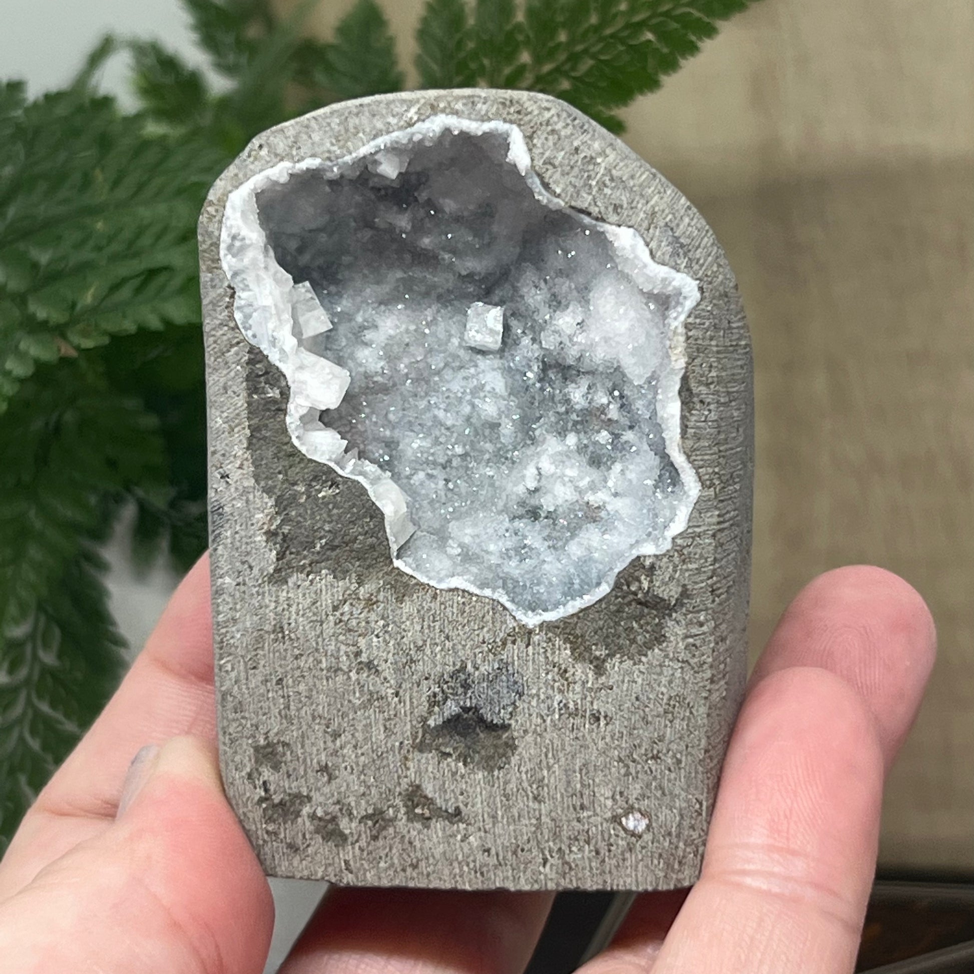 Geode Apophyllite Cluster Specimen on Matrix Zeolite