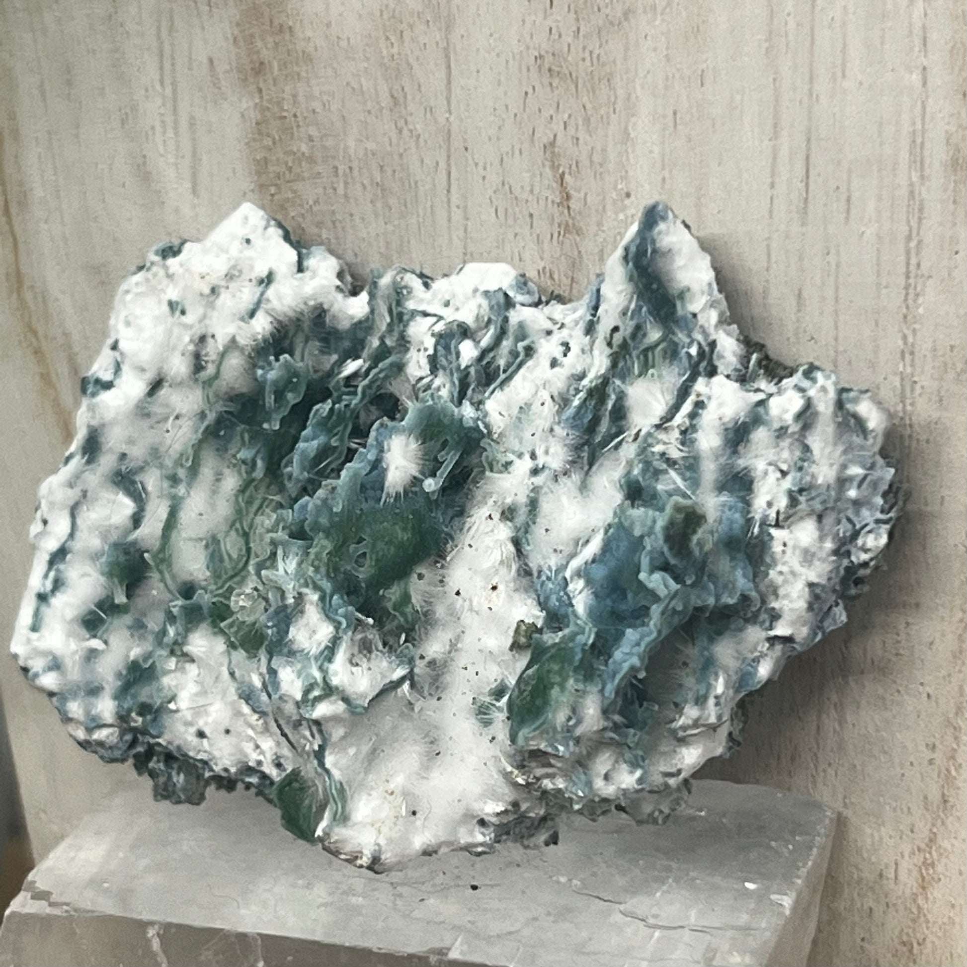 Large Green Chalcedony Coral with Okenite with ‘Mossy’ Matrix Crust Specimen