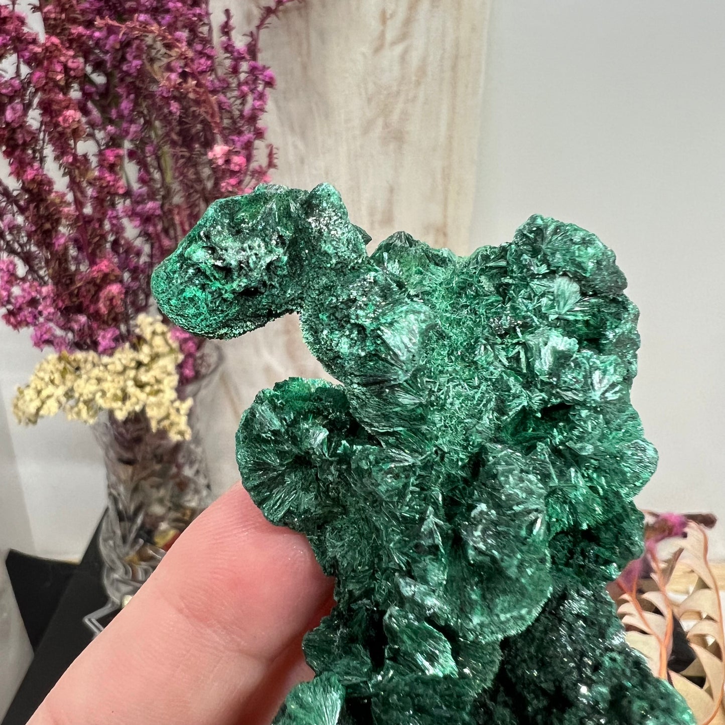 ‘Velvet’ Malachite (Congo): Botryoidal, silky fibrous specimen (106.45g)