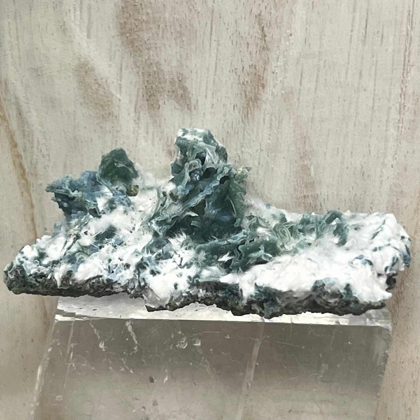 Large Green Chalcedony Coral with Okenite with ‘Mossy’ Matrix Crust Specimen (GC6)