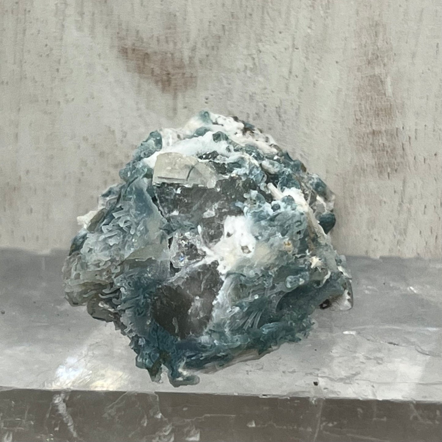 Green Chalcedony Coral Specimen with Okenite (GC2)
