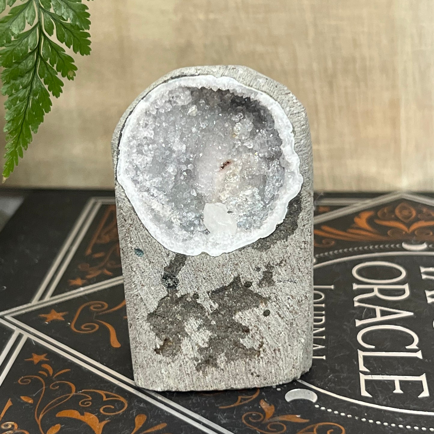 Geode Apophyllite Cluster Specimen on Matrix Zeolite