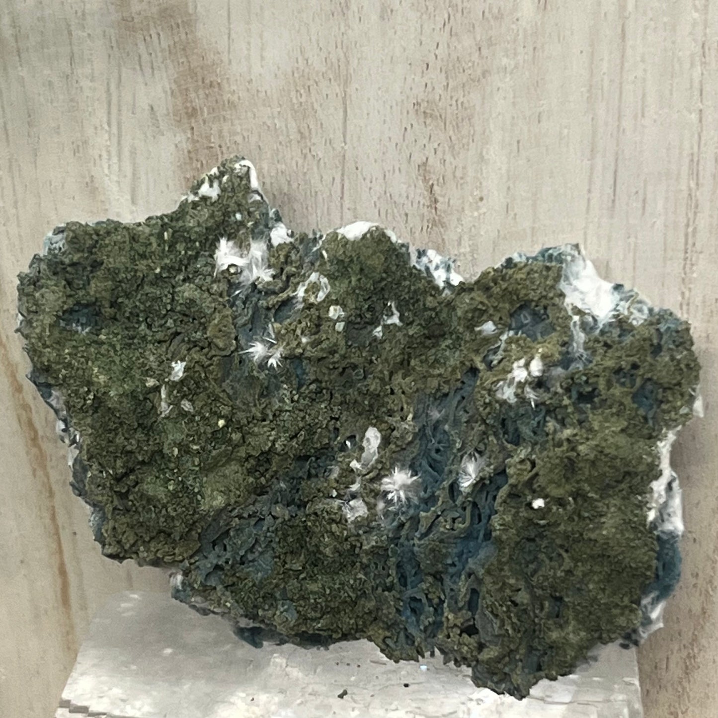 Large Green Chalcedony Coral with Okenite with ‘Mossy’ Matrix Crust Specimen (GC6)