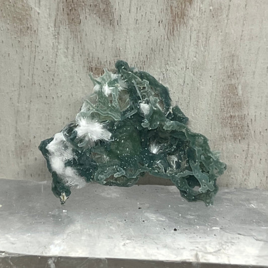 Green Chalcedony Coral Specimen with Okenite