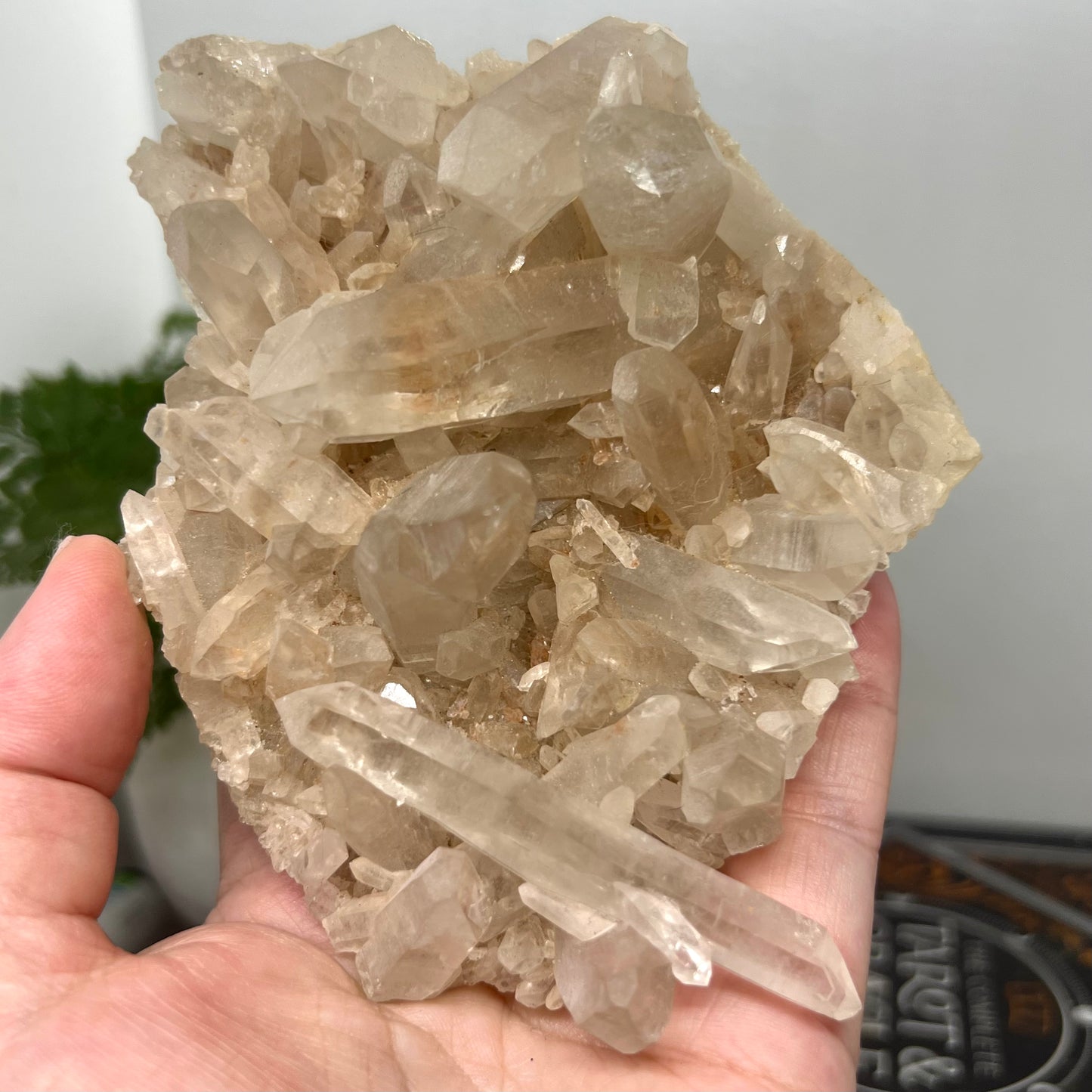 Samadhi Quartz Cluster - Himalayan