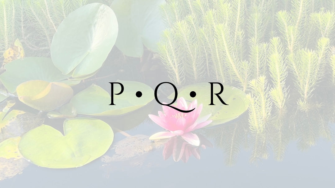 P ∙ Q ∙ R
