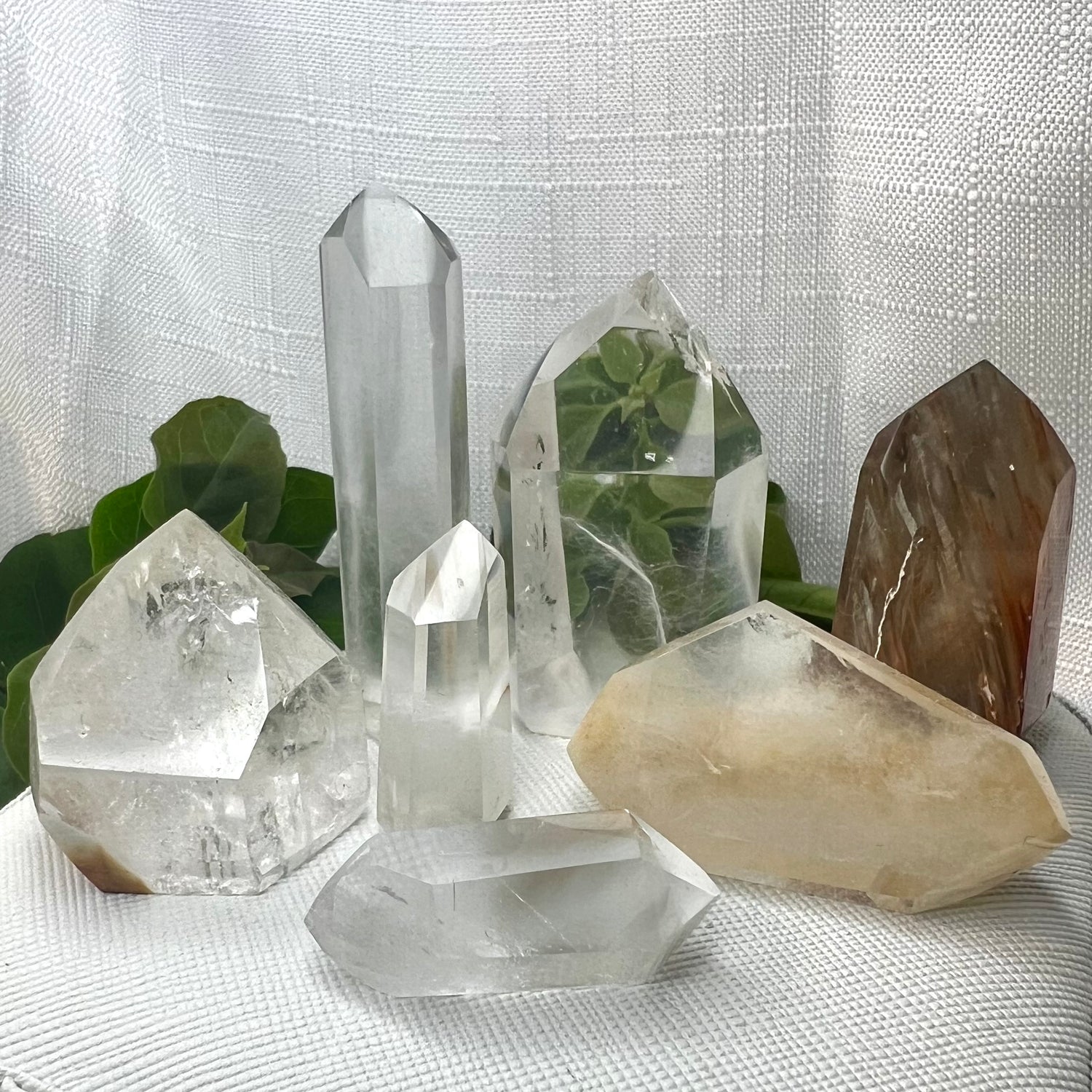 COLLECTIBLES: Amphibole Quartz (aka Angel Wing Quartz): Margarida Mine, Bahia, Brazil