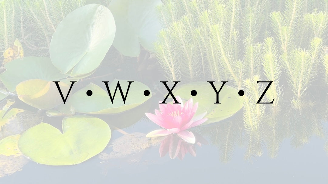 V ∙ W ∙ X ∙ Y ∙ Z