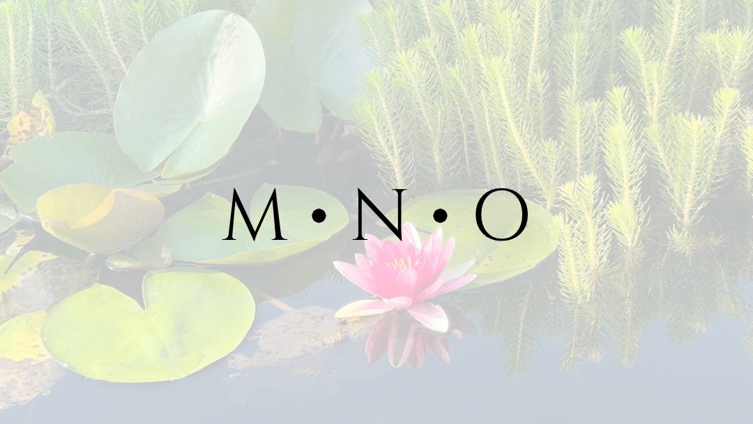 M ∙ N ∙ O