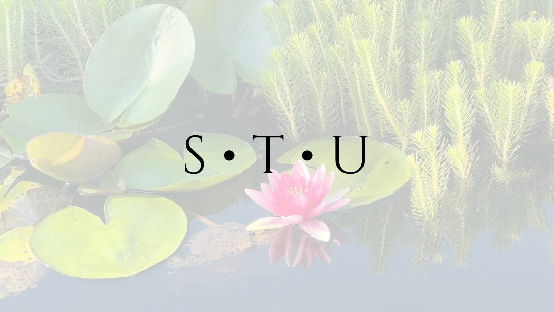 S ∙ T ∙ U