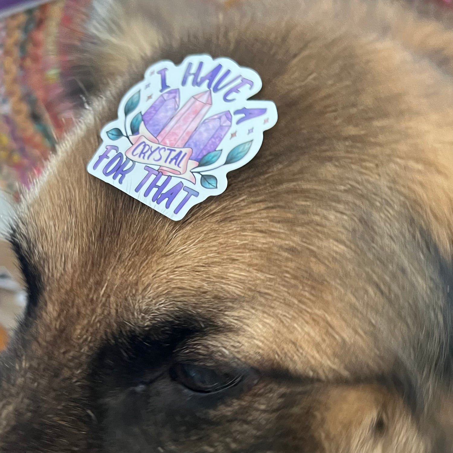 Groovy Stickers & Positive Mojo