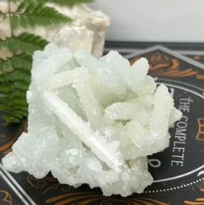 Fossils ∙ Amber/Copal ∙ Pseudomorphs