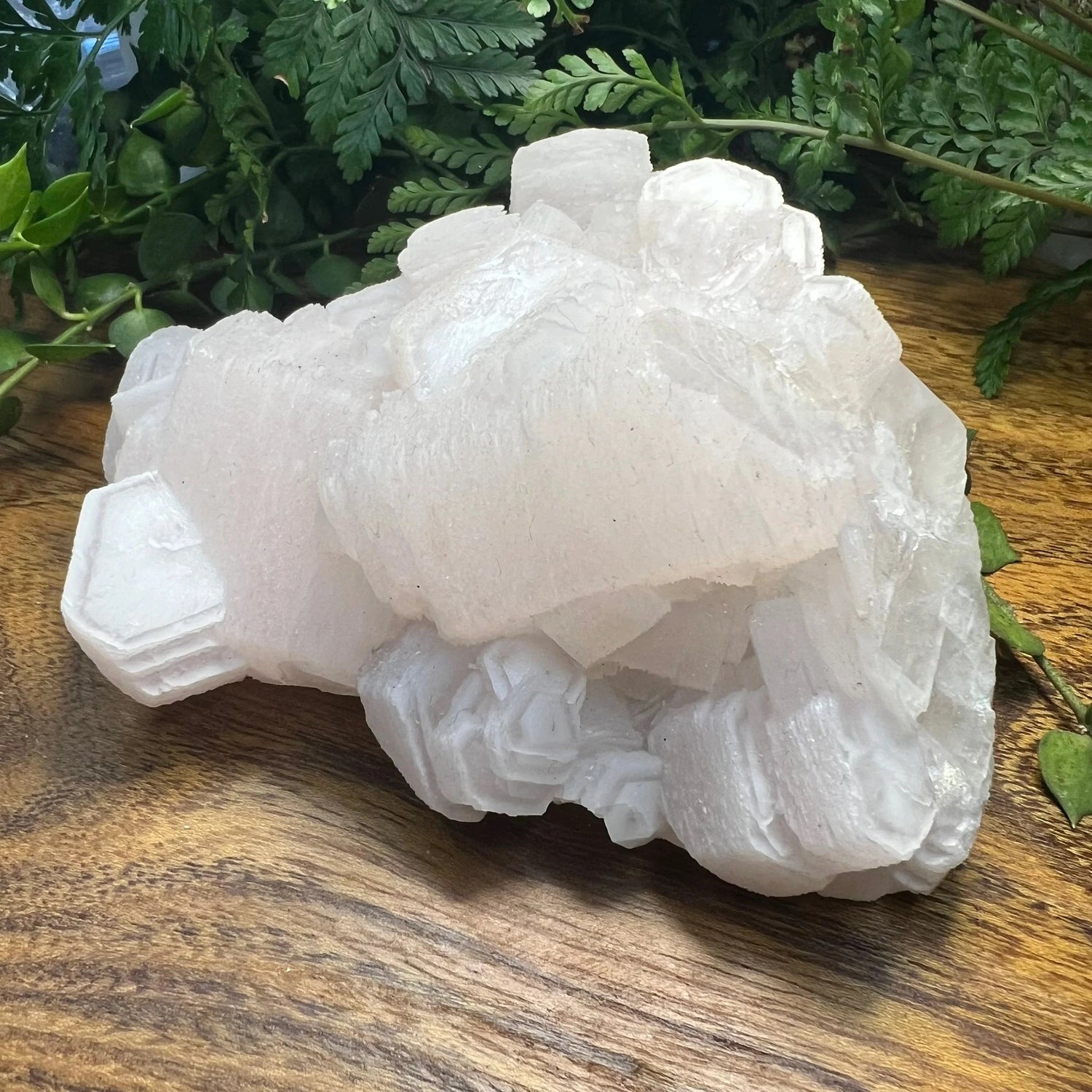 Calcite & Fluorite Specimens