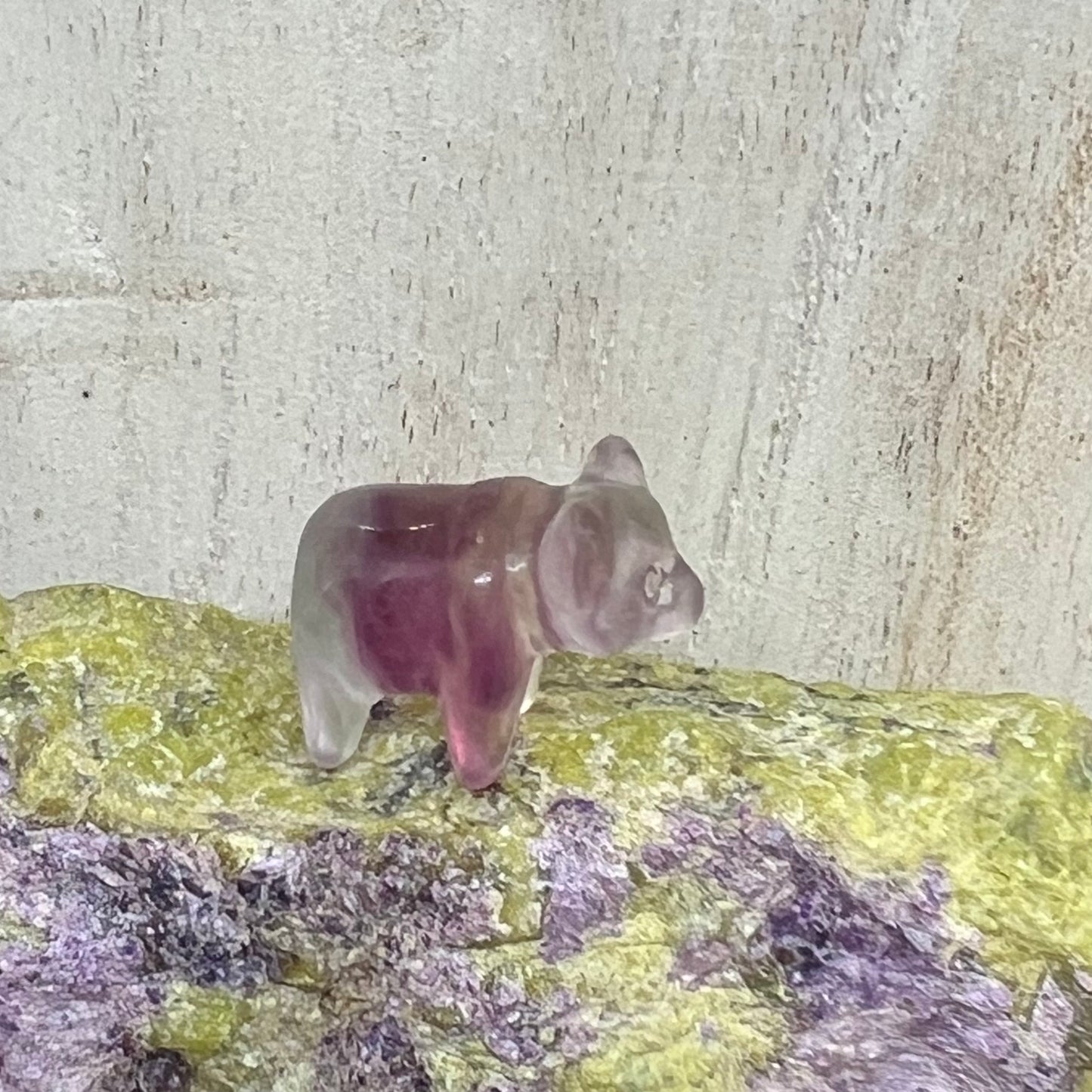 Mini Fluorite Carving: Bear