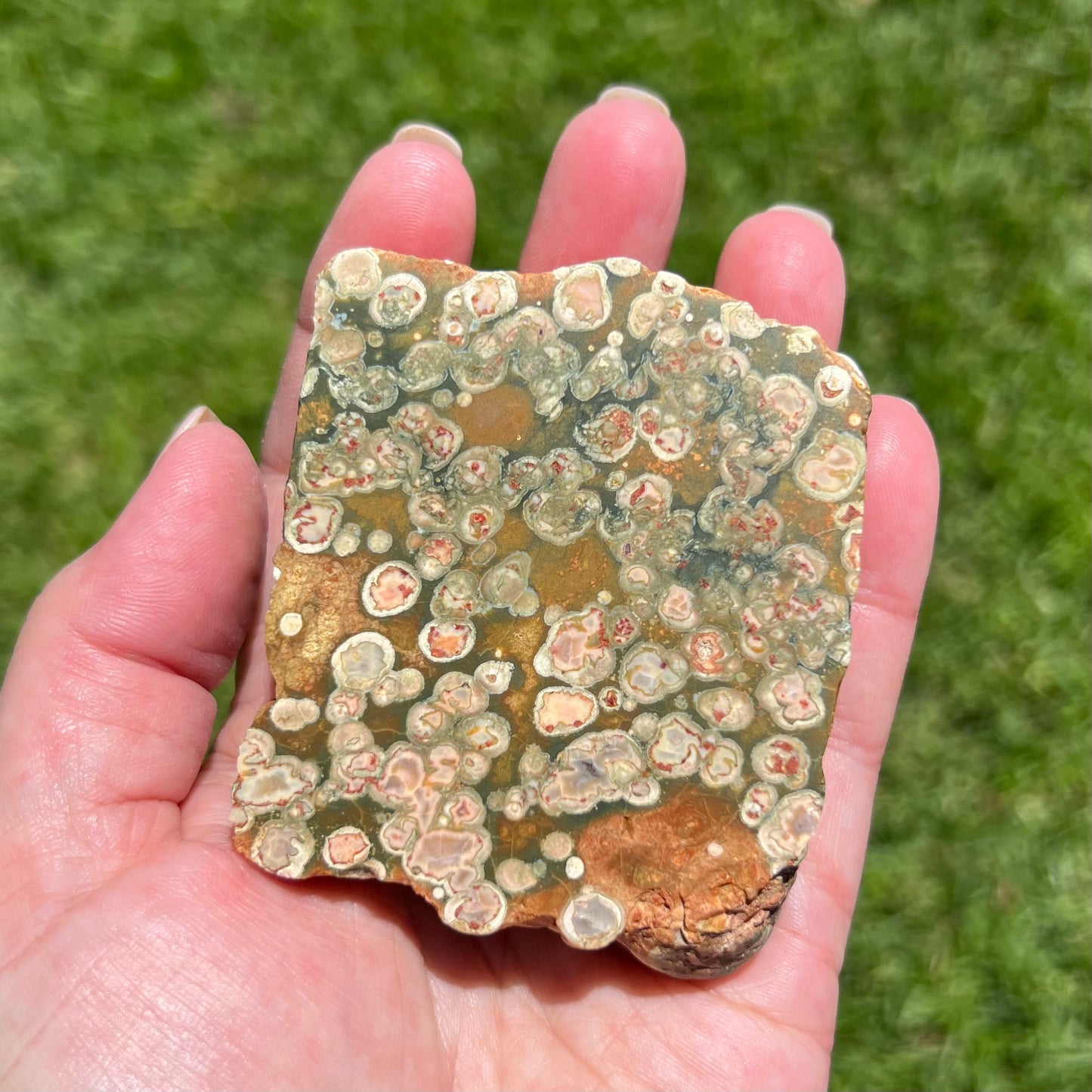 Queensland Rhyolite with polished face: Australian Mineral Specimen