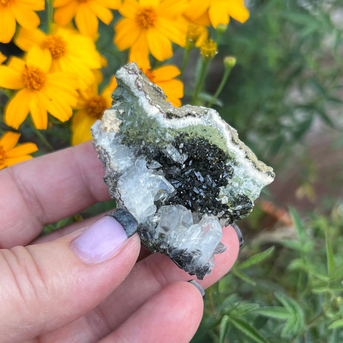 Clear Quartz and Epidote Sandwich specimen