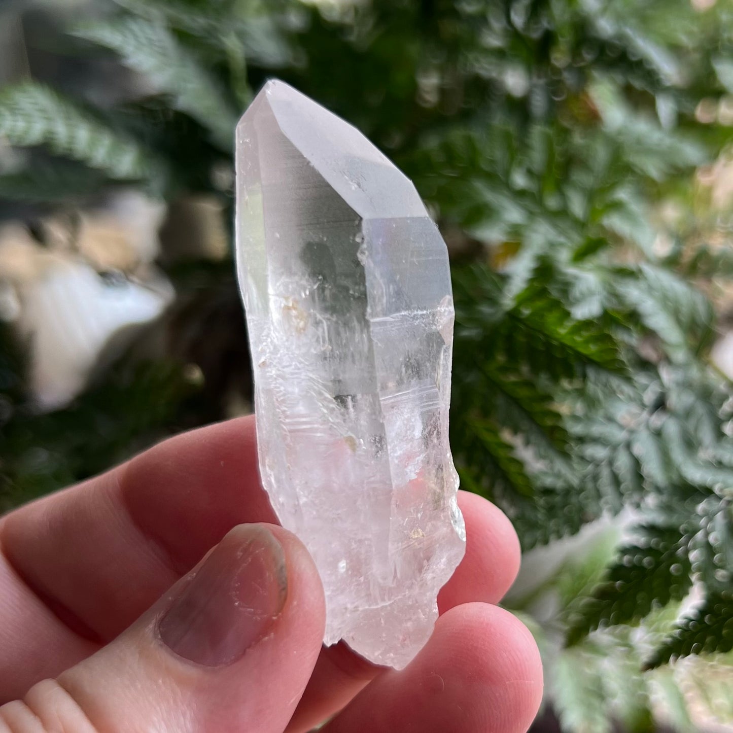 Diamond Window & Future Time-Link window Lemurian Quartz Point