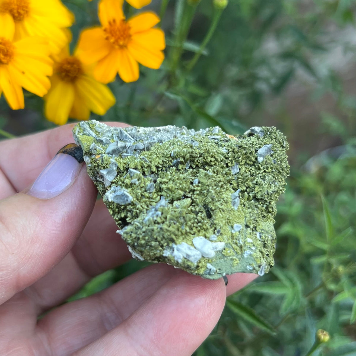 Epidote and Quartz Cluster Specimen - 'Fairy Forest' specimen