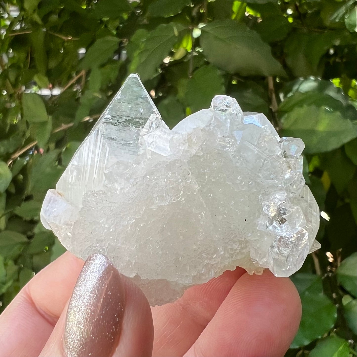 'Hen & Chickens' Mirror Apophyllite on Clear Calcite Matrix Cluster - Jalgoan District, Maharashtra, India