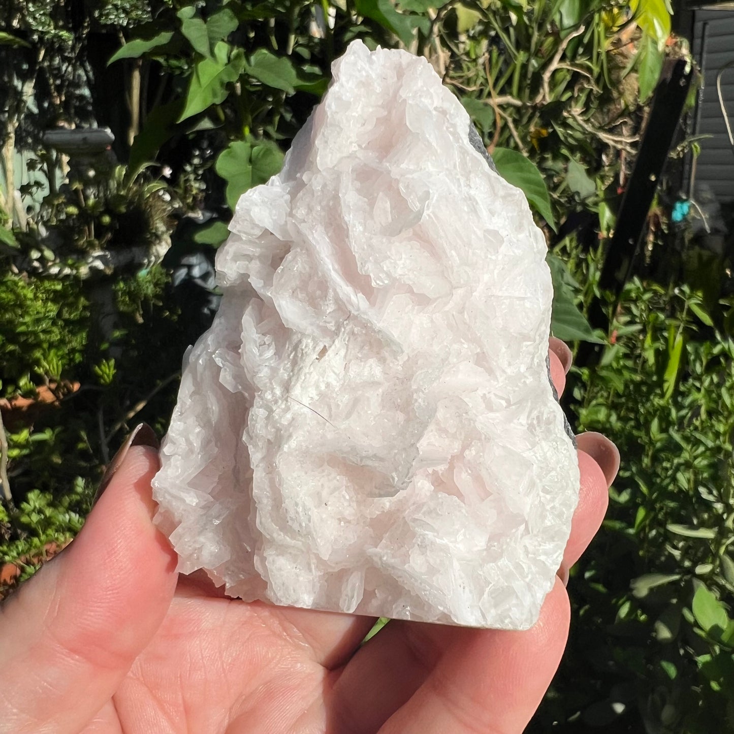 Pink ‘Rose Petal’ Calcite Mineral Specimen - Hubei, China | UV Reactive