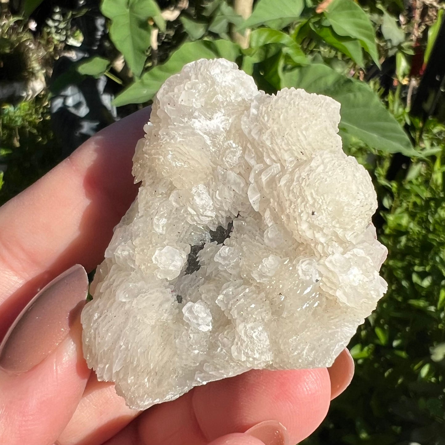 ‘Flower’ Calcite Mineral Specimen - Fujian, China | UV Reactive