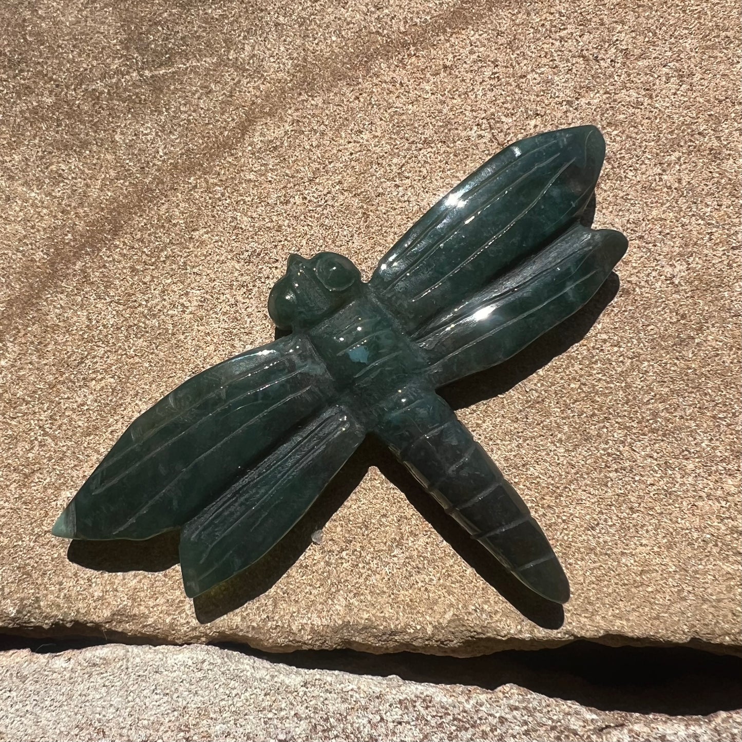 Ocean Jasper Dragonfly (i)