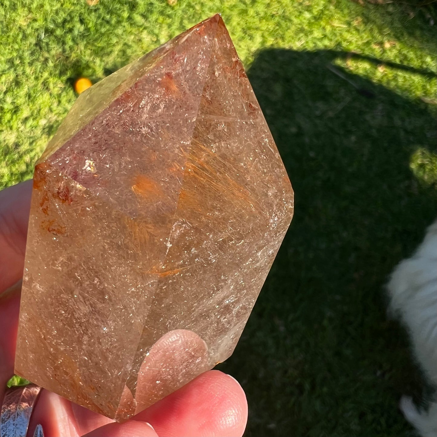 Rutilated Smoky Quartz with Hematite inclusions - Polished Quartz Point: Brazil